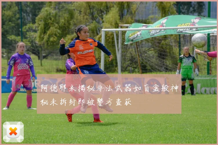 阿德耶米揭秘非法武器如盲盒般神秘未拆封即被警方查获